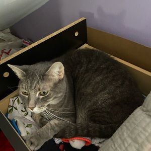 Meet your Posher, Gabby